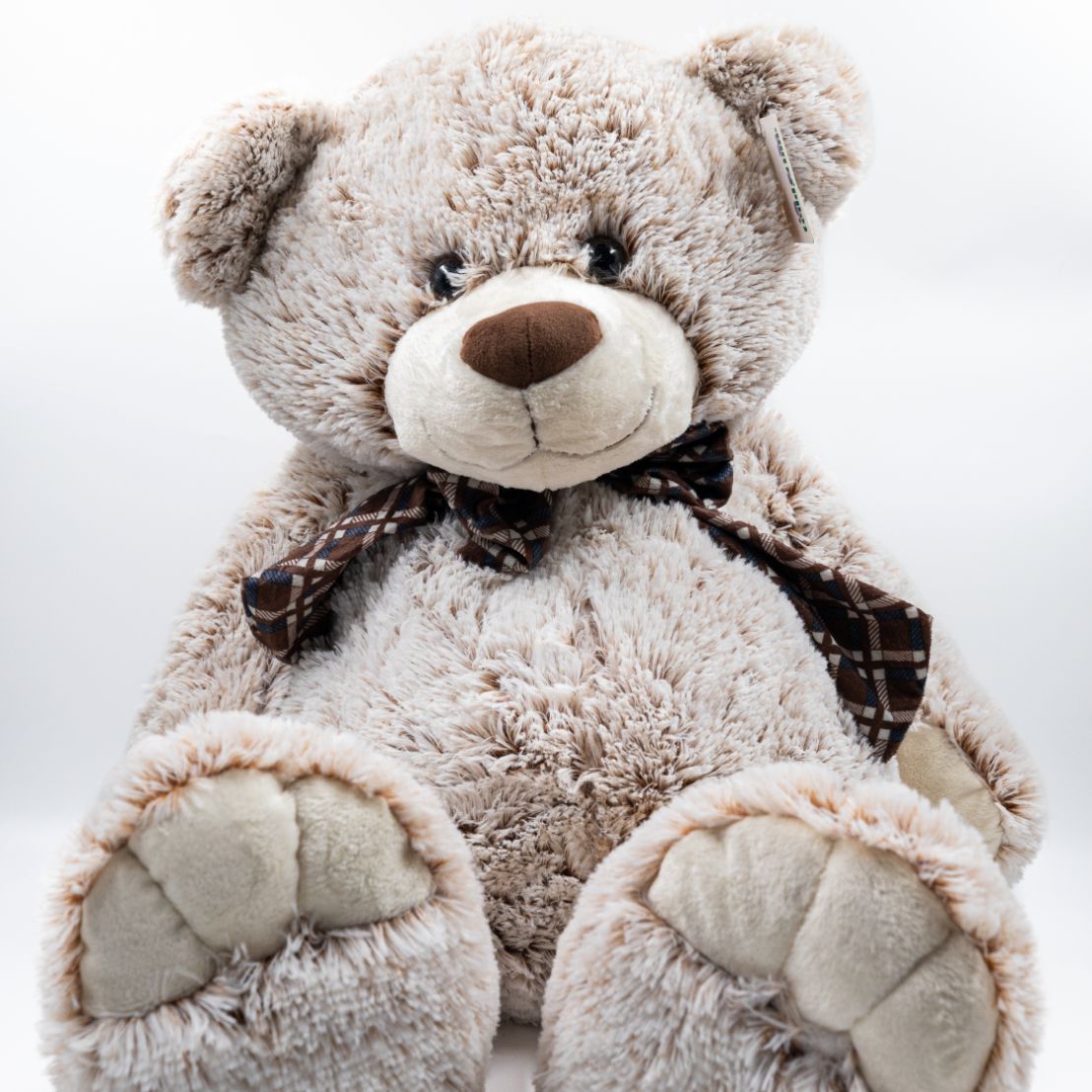 Bear clearance soft toy