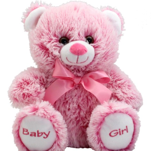 Teddytime Remmie Bear Soft Toy 